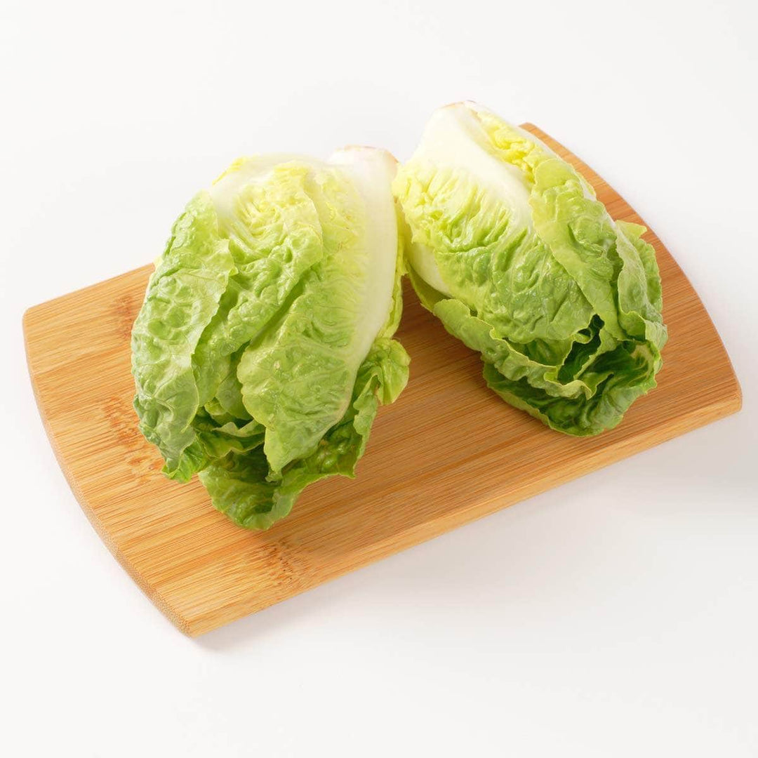 AcquaGarden Lettuce 'Little Gem'