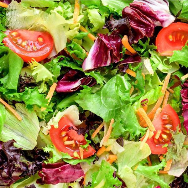 AcquaGarden Lettuce 'Mixed Selection'