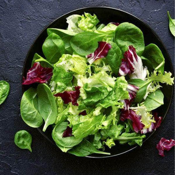 AcquaGarden Lettuce 'Mixed Selection'