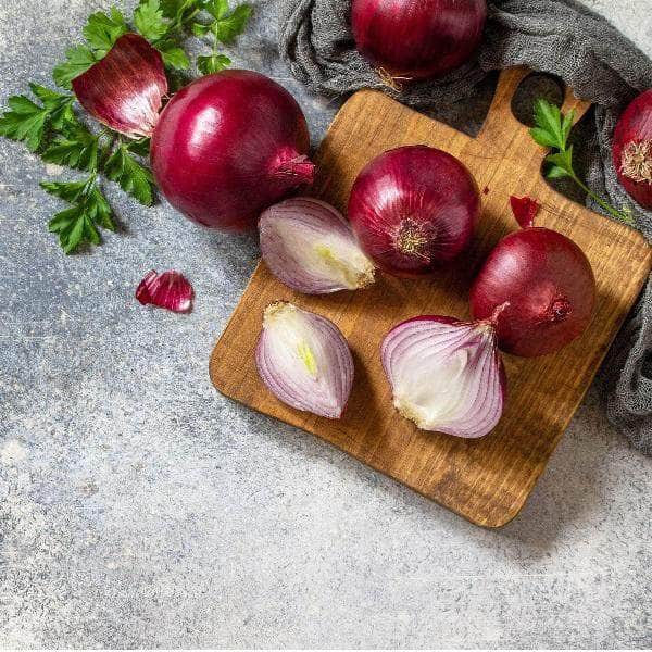 AcquaGarden Onion 'Red Bulb'