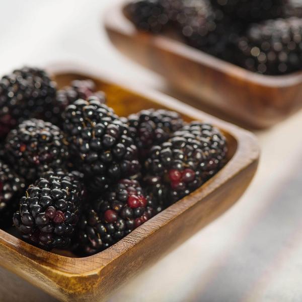 AcquaGarden Outdoor Plants Blackberry