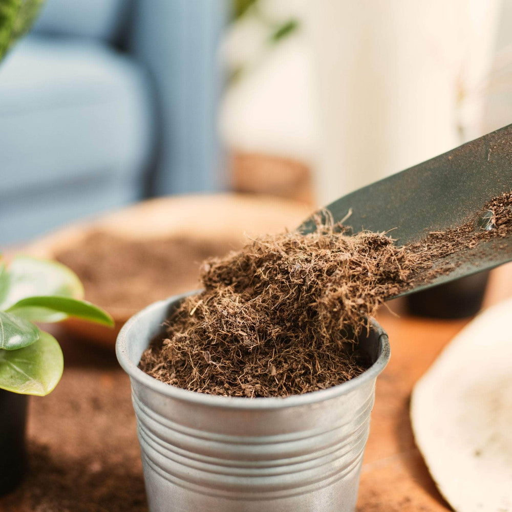AcquaGarden Outdoor Plants Coconut Coir