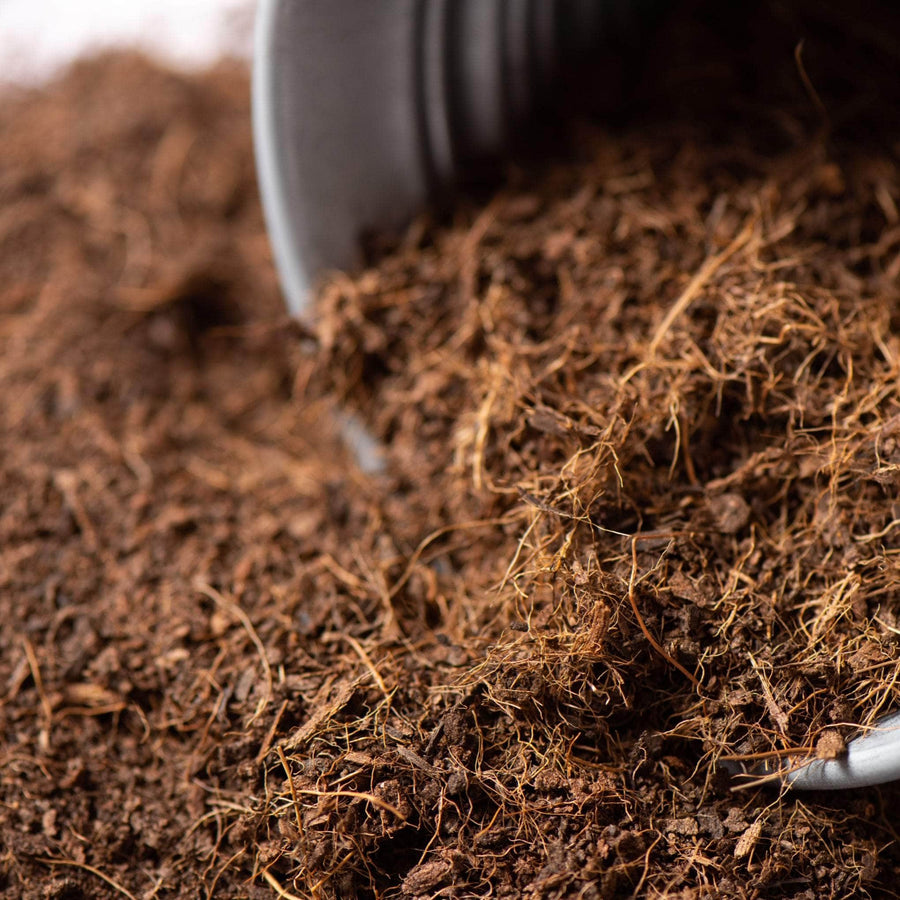 AcquaGarden Outdoor Plants Coconut Coir