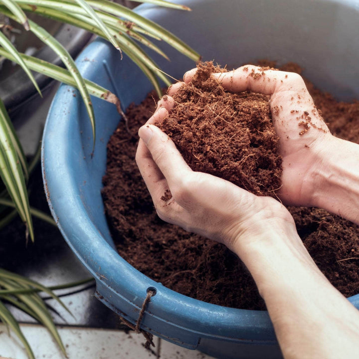AcquaGarden Outdoor Plants Coconut Coir