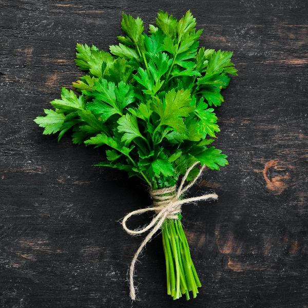 AcquaGarden Outdoor Plants French Parsley