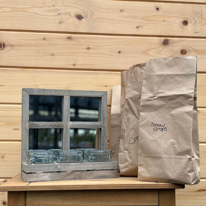 AcquaGarden Outdoor Plants Mirrored Plant Pot Holder with Snowdrop, Iris and Crocus Bulbs