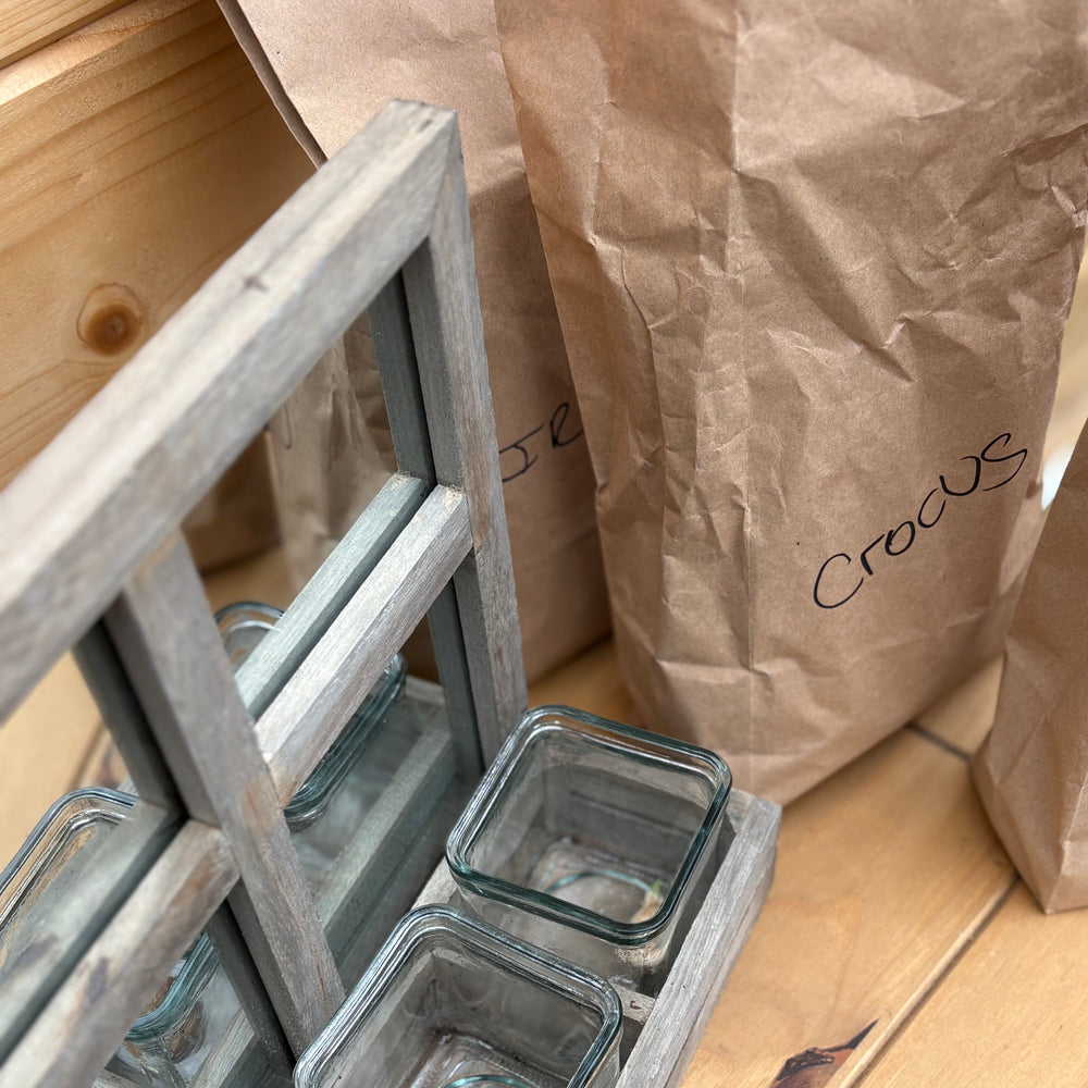 AcquaGarden Outdoor Plants Mirrored Plant Pot Holder with Snowdrop, Iris and Crocus Bulbs