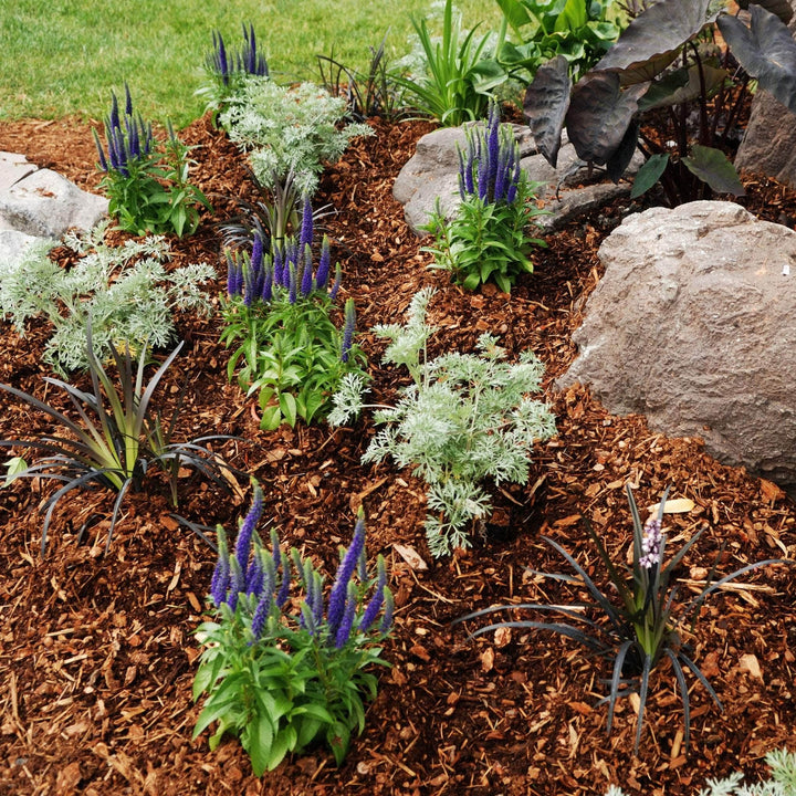 AcquaGarden Outdoor Plants Organic Garden Mulch