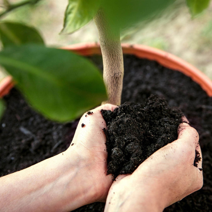AcquaGarden Outdoor Plants Peat-Free Garden Compost