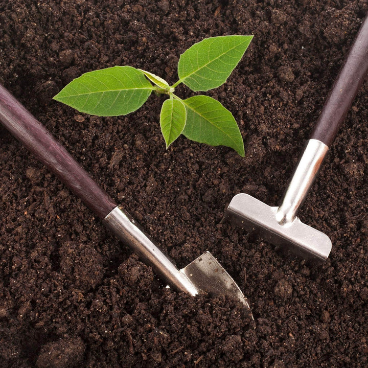 AcquaGarden Outdoor Plants Peat-Free Garden Compost