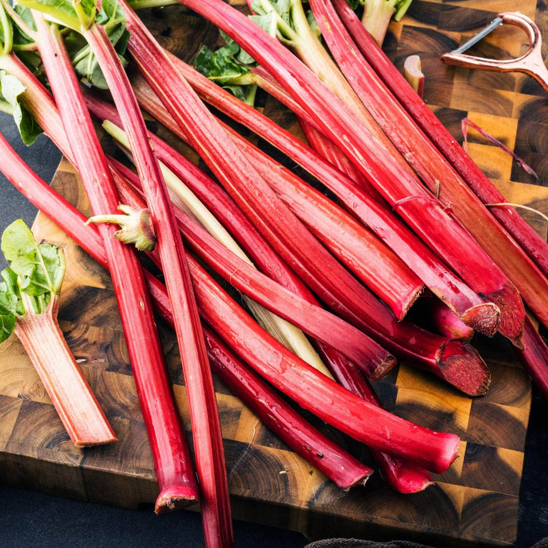 AcquaGarden Outdoor Plants Rhubarb
