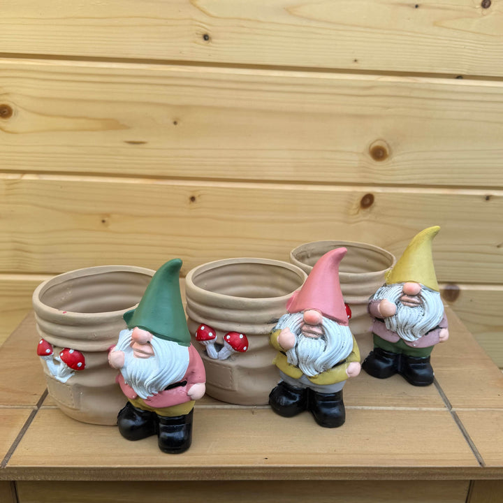 AcquaGarden Outdoor Plants Set of 3 Gnome Pots with Herb, Miniature Rose and Viola Plants