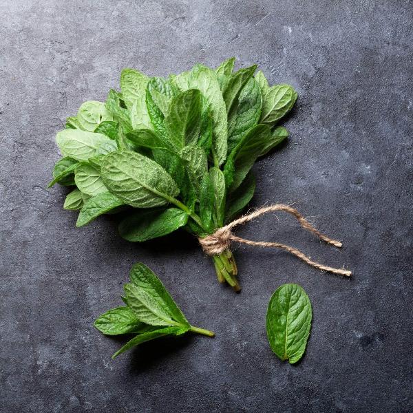 AcquaGarden Outdoor Plants Spearmint