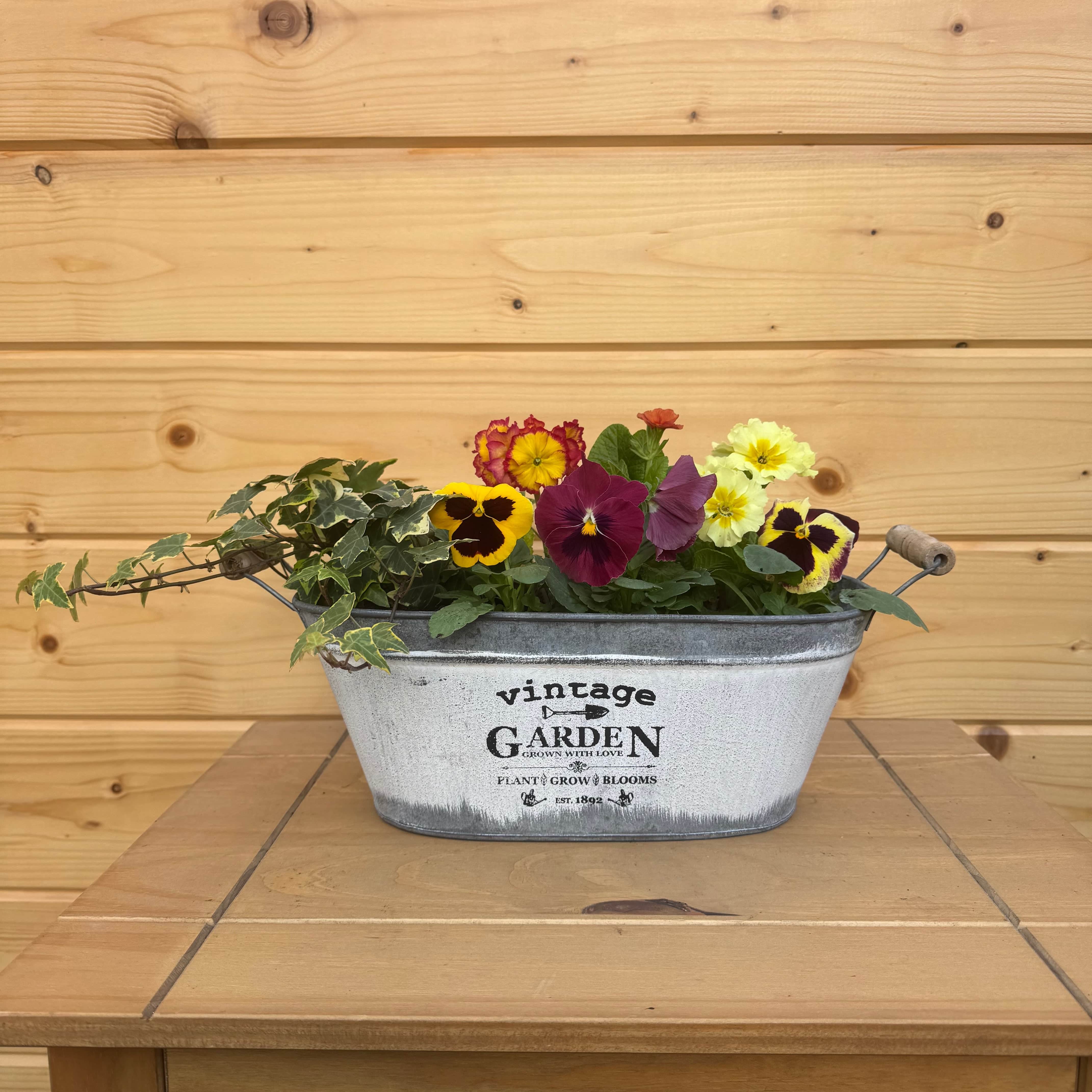 Plant Gifts Collection