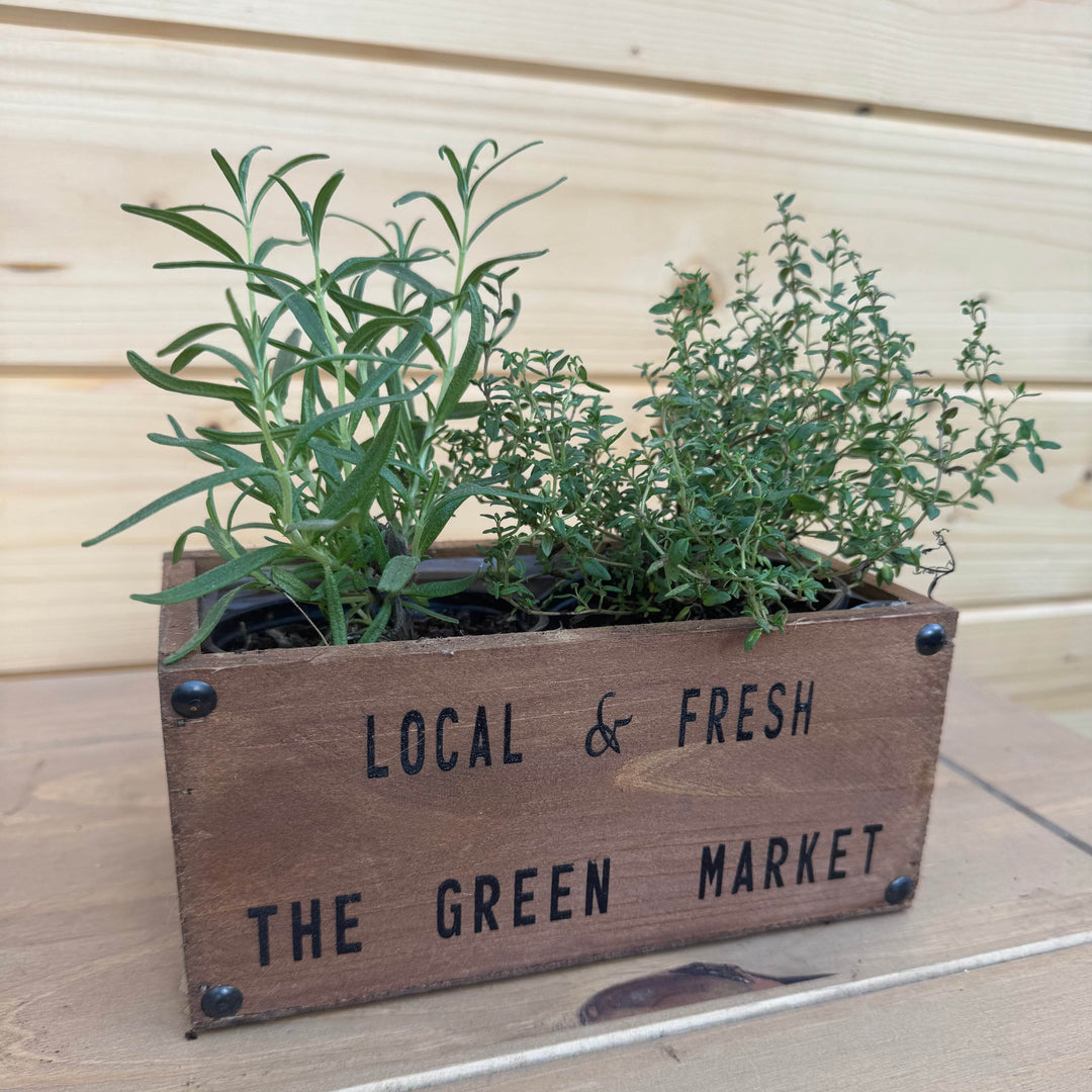 AcquaGarden Outdoor Plants Wooden Trough Herb Mix Rectangular