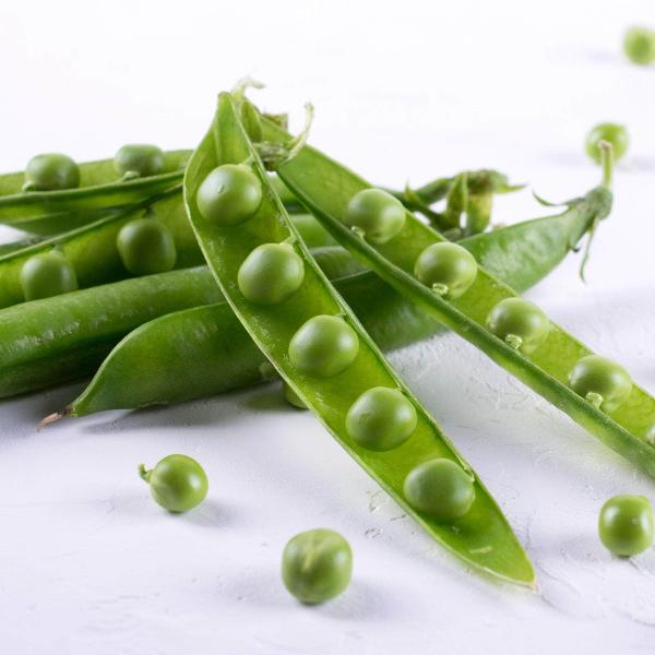 AcquaGarden Peas 'Sugar Snap'
