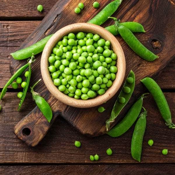 AcquaGarden Peas 'Twinkle'