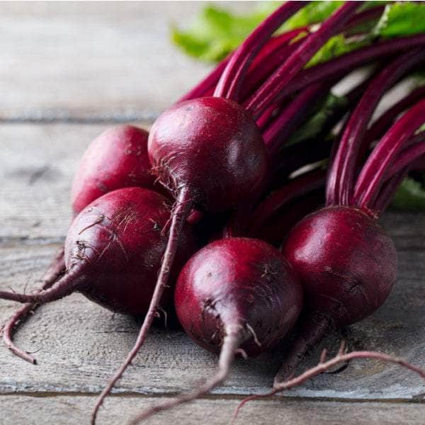 AcquaGarden Plants Beetroot