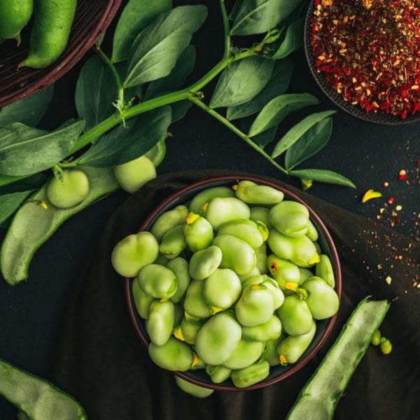 AcquaGarden Plants Broad Beans