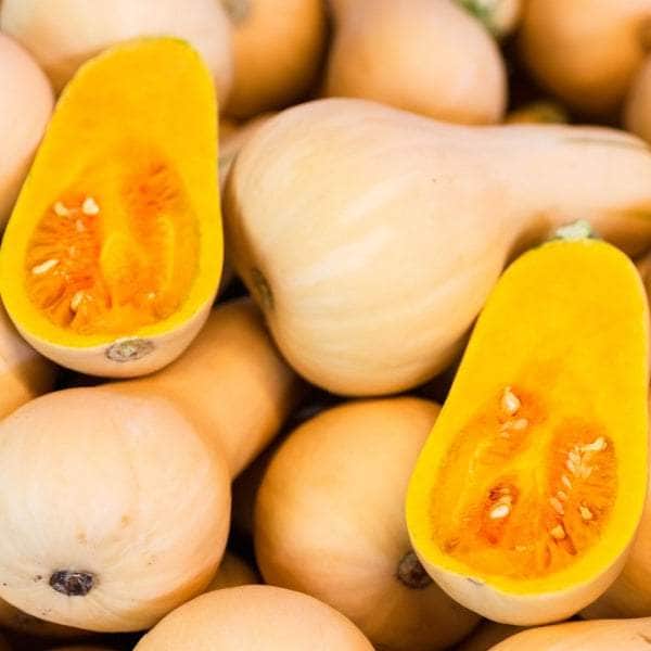 AcquaGarden Plants Butternut Squash