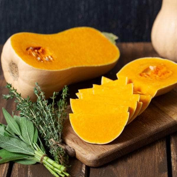 AcquaGarden Plants Butternut Squash