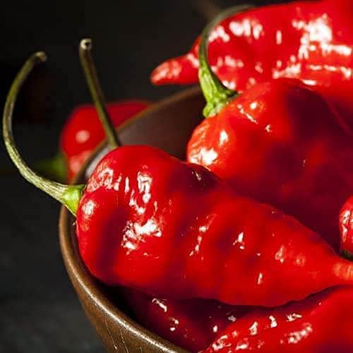 AcquaGarden Plants Chilli 'Ghost' Pepper