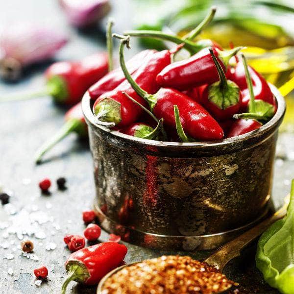 AcquaGarden Plants Chilli 'Hot Burrito'