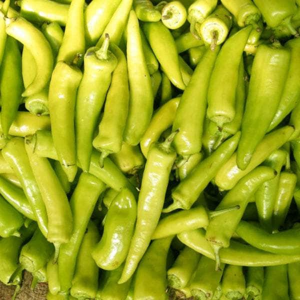 AcquaGarden Plants Chilli 'Hungarian Hot wax'