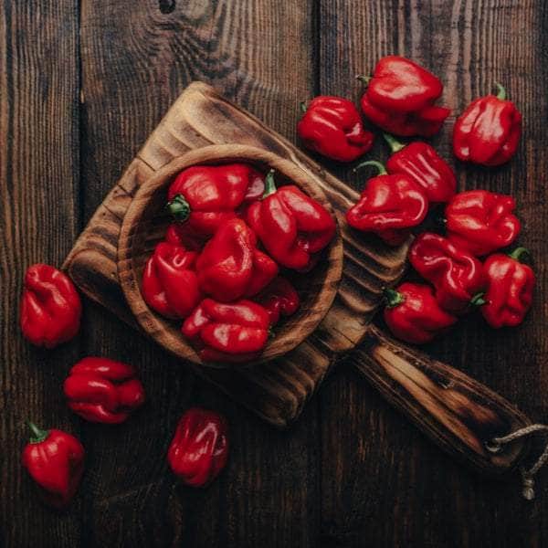 AcquaGarden Plants Chilli Pepper