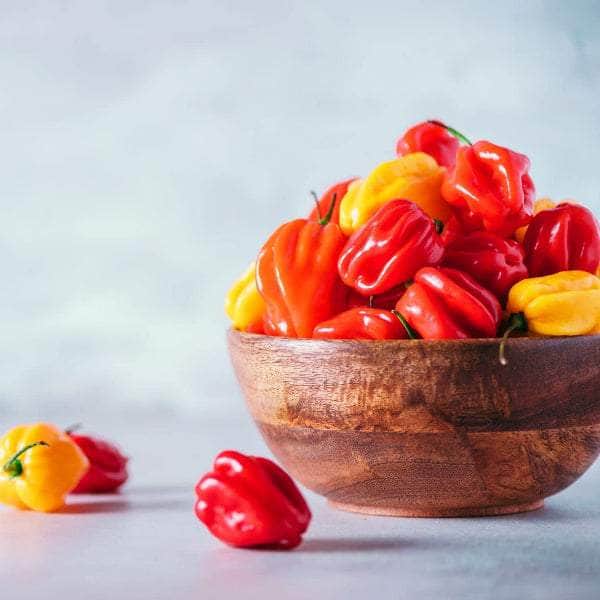 AcquaGarden Plants Chilli Plants Multi-Pack 2 – Mixed Varieties - 6 x Full Plants