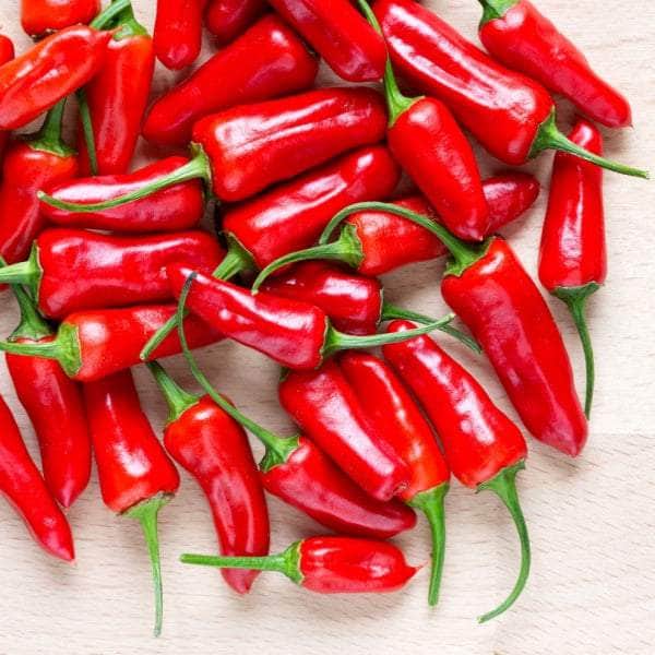 AcquaGarden Plants Chilli Plants Multi-Pack 4 – Mixed Varieties - 6 x Full Plants