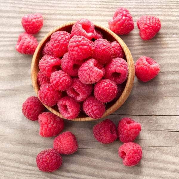 AcquaGarden Plants Fruit plants Multi-Pack 1 – Mixed Varieties - 6 x Full Plants