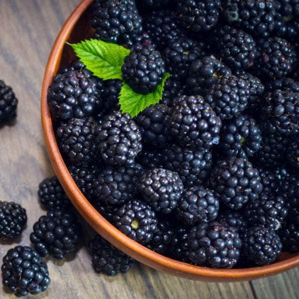 AcquaGarden Plants Fruit plants Multi-Pack 3 – Mixed Varieties - 6 x Full Plants