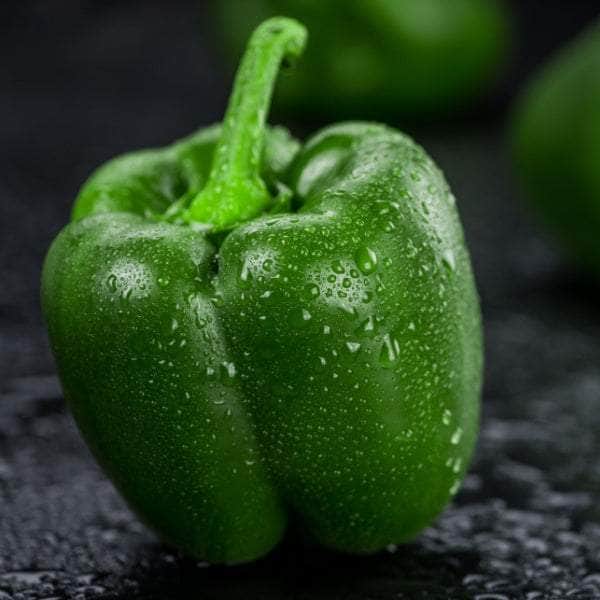 AcquaGarden Plants Green Sweet Pepper