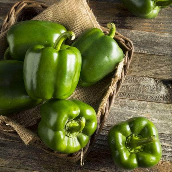 AcquaGarden Plants Green Sweet Pepper
