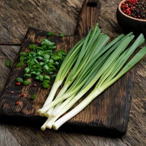 Spring Onion Plants | 20 Easy Bulbs | AcquaGarden