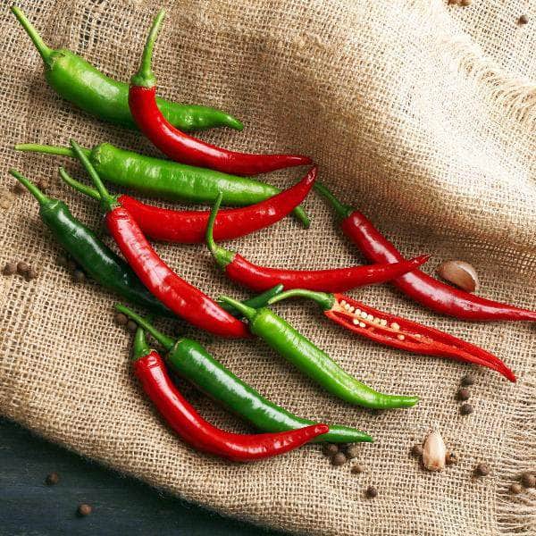 AcquaGarden Plants The Gentle Spice Chilli Plant Collection - 3 x Full Plants in 1 Litre Pots