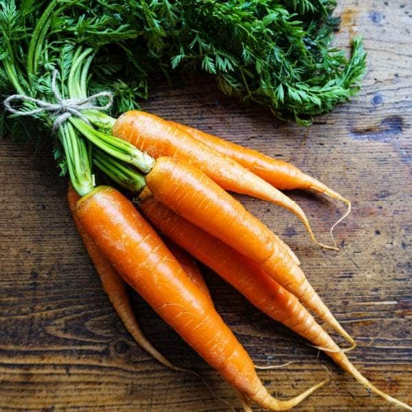 AcquaGarden Plants Vegetable Full Plants Multi-Pack 3 – Mixed Varieties - 48 x Full Plants