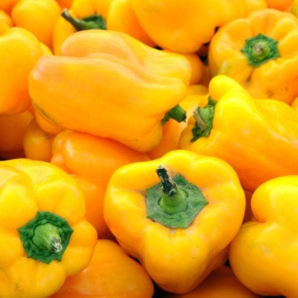 AcquaGarden Plants Yellow Sweet Pepper