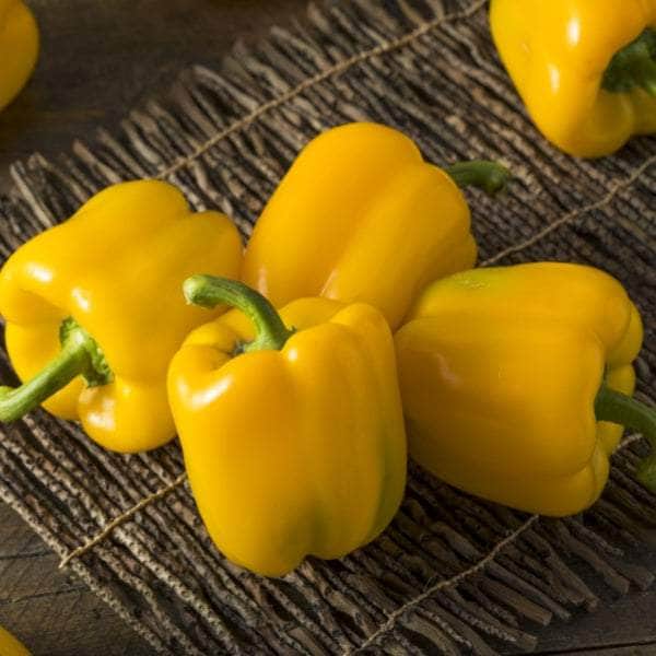 AcquaGarden Plants Yellow Sweet Pepper