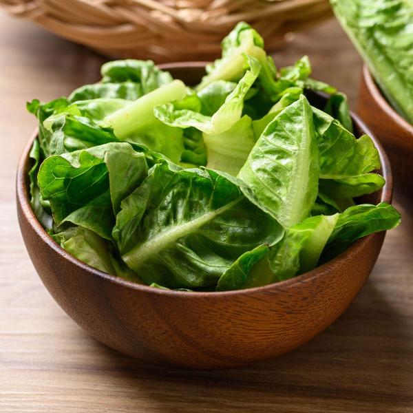AcquaGarden Romaine Lettuce