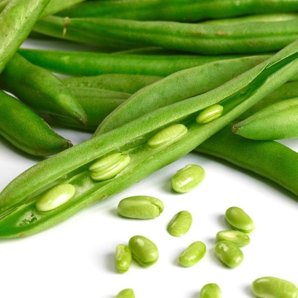 AcquaGarden Runner Beans 'Firestorm'