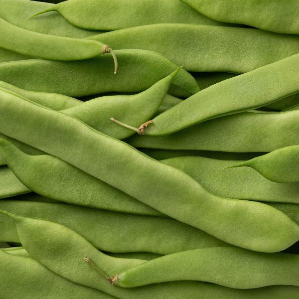 AcquaGarden Runner Beans 'Red Rum'