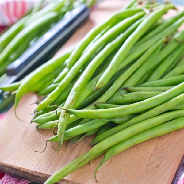 AcquaGarden Runner Beans 'Red Rum'