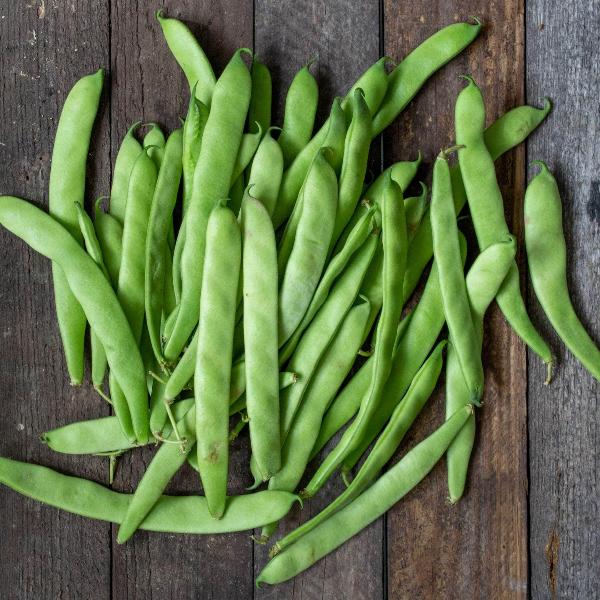 AcquaGarden Runner Beans 'Streamline'