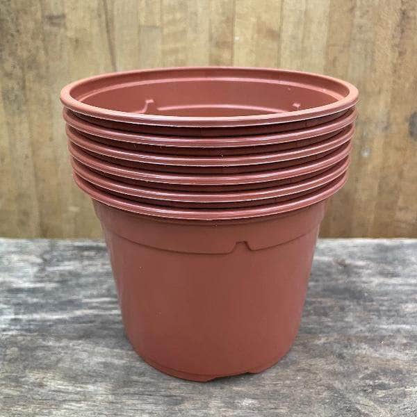 AcquaGarden Soparco Premium Growers 1 Litre Plant Pots in Brown