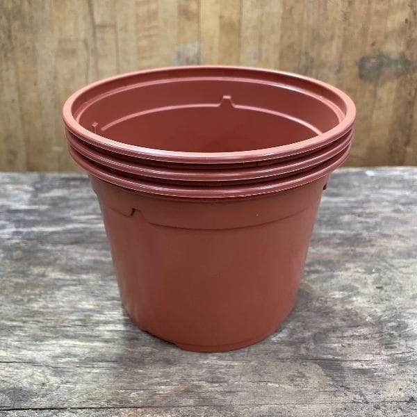 AcquaGarden Soparco Premium Growers 1 Litre Plant Pots in Brown