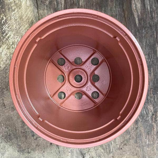 AcquaGarden Soparco Premium Growers 1 Litre Plant Pots in Brown