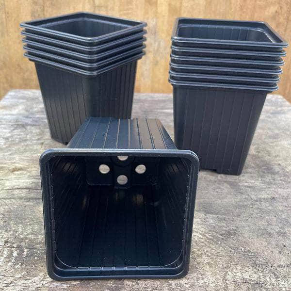 AcquaGarden Soparco Square 9cm Plant Pots in Black