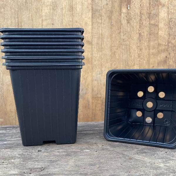 AcquaGarden Soparco Square 9cm Plant Pots in Black
